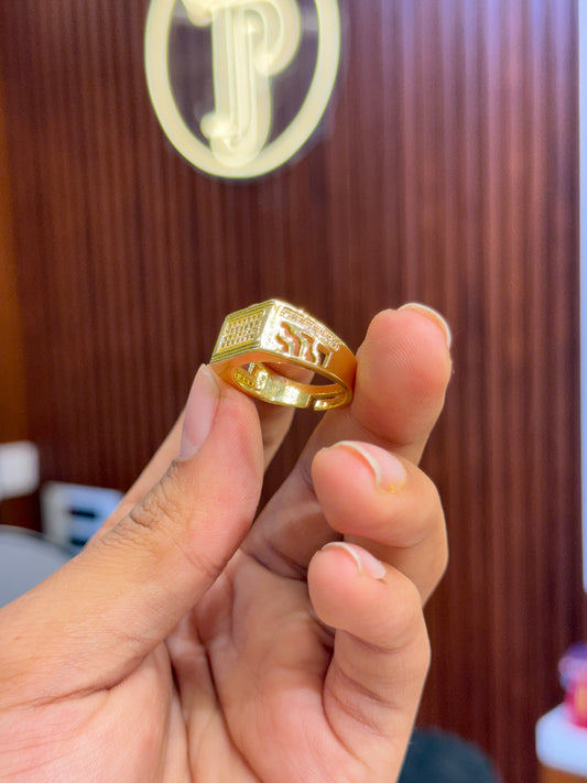 Ring ⭐⭐⭐⭐☆ 4.4 (6,780)